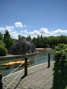 La rivière Aventure du zoo de Granby revampée pour l'été 2016